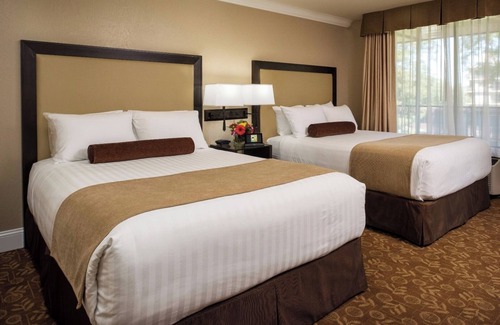 Barron Park Hotel | 2 Comfortable Room with Heated Pool, Free Breakfast & Parking in Palo Alto