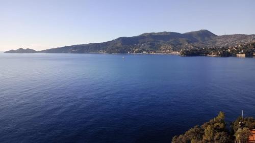 Recco Apartment | 2 Mimose