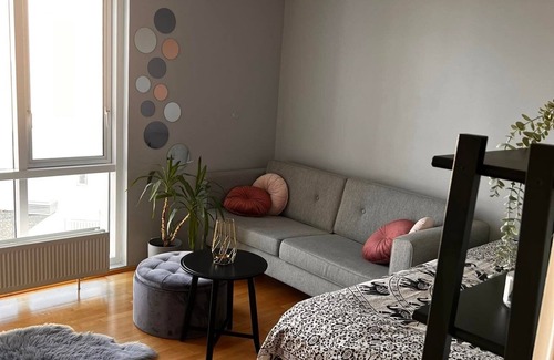 Grafarvogur Apartment | 2 rooms in shared apartment - private bathroom. (50 $ cleaning fee included)