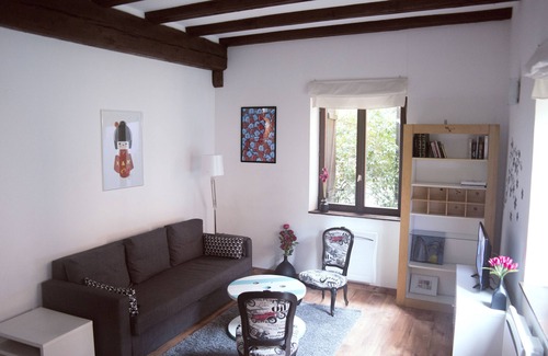 Petite-France Apartment | 2 Rooms in the heart of the Petite France in Strasbourg