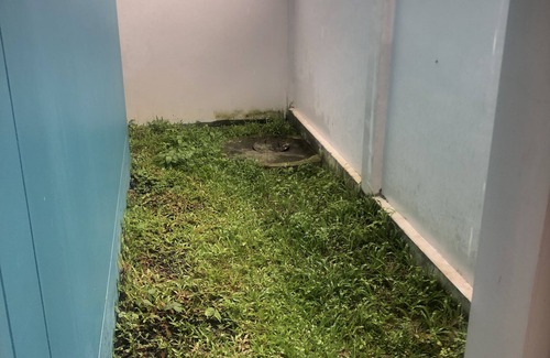 Pa Klok Villa | 2 rooms pool villa 5 mins walk to Beach