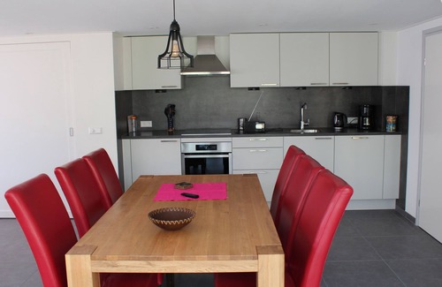 Stavenisse House | 200m from the sea, 6 person house with sauna, swimming pool, tennis and playground
