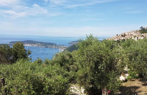 Eze Apartment | 205 route de la turbie