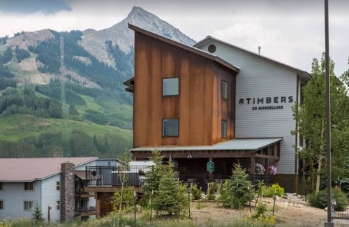 Crested Butte Condo | 207 Timbers Condominium