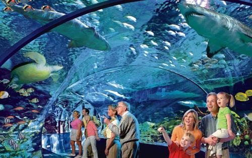 Hidden Hills House | 22 in Gatlinburg! Free tickets to Dollywood & more! Resort Pool