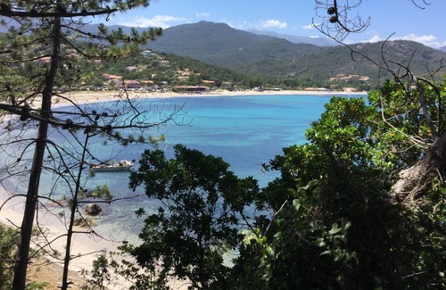 Favone House | 24 Residence Playa del Oro- Favone - Three-room apartment on the ground floor