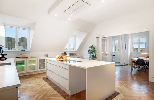 Copenhagen City Centre Apartment | 250 Sqm Smack Bang in the Center of Copenhagen