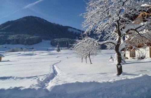 Ruhpolding Apartment | 3 apartment 23sqm, balcony, kitchenette, 1 living/bedroom, max. 2 pers, WLAN