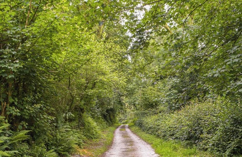 Carmarthen Cottage | 3 bedroom accommodation in Meidrim, near Carmarthen