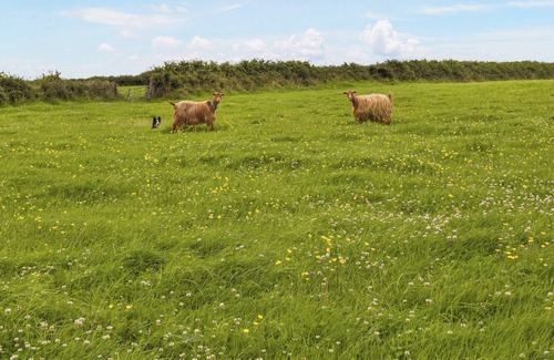 Carmarthen Cottage | 3 bedroom accommodation in Meidrim, near Carmarthen