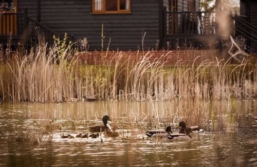 Hinton Cabin | 3 bedroom accommodation in Darsham, Nr Southwold