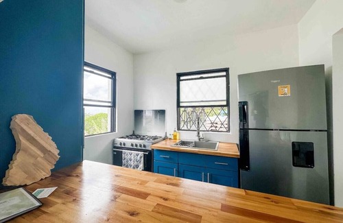 Maxwell Apartment | 3 Bedroom APT 3A+B, Oceanview + Pool | Near Beach @ Paradise Point Barbados