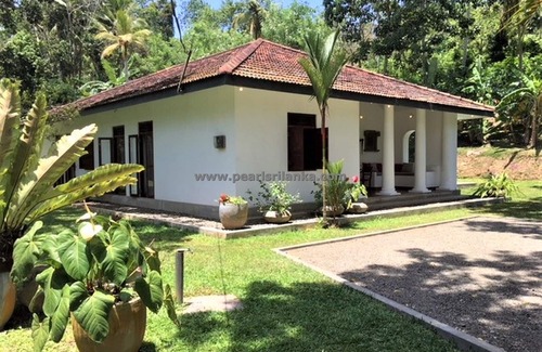 Bandaranayake Villa | 3 Bedroom Colonial Style Villa with Infinity Pool and the Picturesque Garden