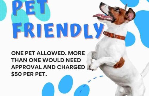 Pointe aux Roches House | 3 bedroom Poolside paradise near Marina