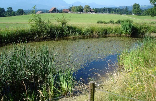 Rothenburg Other | 3 CHILDREN UNDER 16 YEARS ARE ACCOMPANIED BY AT LEAST 2 ADULTS FREE!