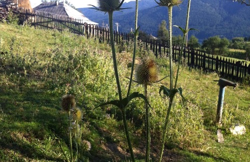 Chiriteni Cottage | 3 Double Rooms - 1 Shared Bathroom