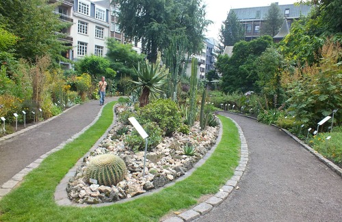 Jewish Quarter Apartment | 3 Family-friendly Units in Downtown Antwerp! Self-Parking and Sun Terrace!