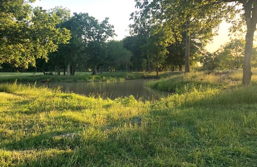 Waco RV Rental | 3 Person Tent on Waco Mini-Farm C7