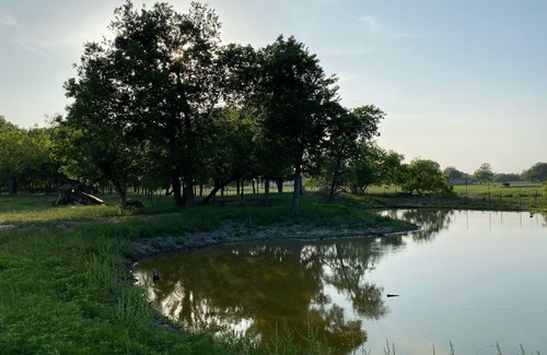 Waco RV Rental | 3 Person Tent on Waco Mini-Farm C7