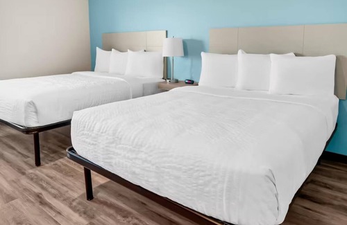 Greenville - Spartanburg Hotel | 3 Pet-Friendly Suites Ideal for Long Visits Near Greenville’s Key Attractions