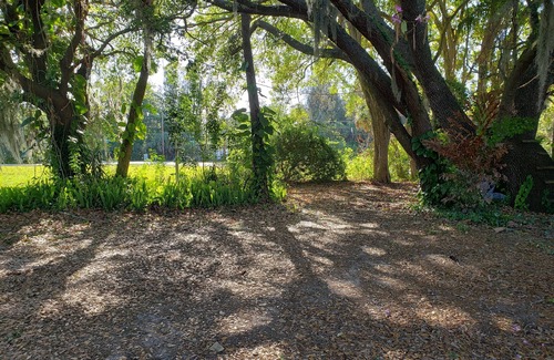 Warm Mineral Springs House | #3 Vacation next to Mineral Springs.