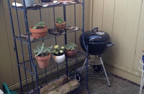 Rio del Mar Condo | 30 Day minimum stay Aptos Condo 10-15 minute walk to the beach