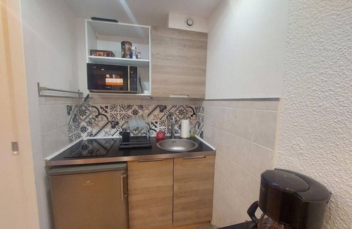 Mont-de-Lans Apartment | 300m from shops, 3rd floor, balcony, tv, ski locker, 22m², Les 2 Alpes