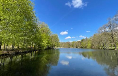 Tistrup House | 300m2 entire house with 3 bedrooms