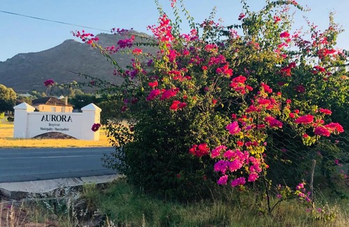 Bergrivier House | 31 on Kloof