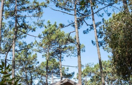 Carcans Resort | 35 m² Resort ∙ 2 bedrooms ∙ 5 guests