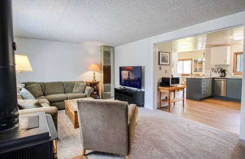 Leadville North Cabin | 3BR Cozy Cabin - Tranquil Forest - Pet Friendly