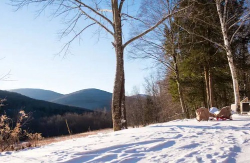 Arkville Cabin | 3BR Mountain View Ski Cabin with Hot Tub