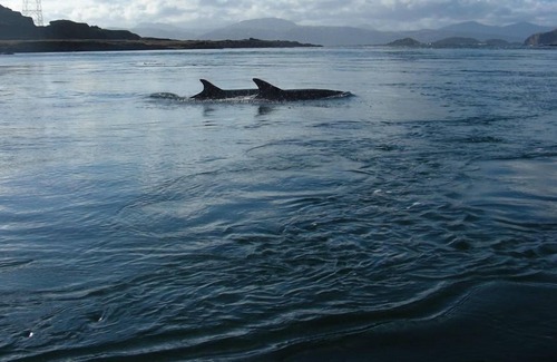 Slate Islands House | 4 berth holiday home on the Isle of Luing, near Oban