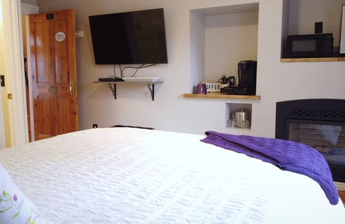 Snowflake Hotel | #4 Charming Room in Historic House, Violet Villa