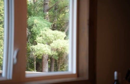 Algonquin Highlands Apartment | #4 Lodge Room (1 King Bed)