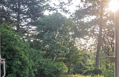 Faaborg House | 4 person holiday home in Faaborg-By Traum