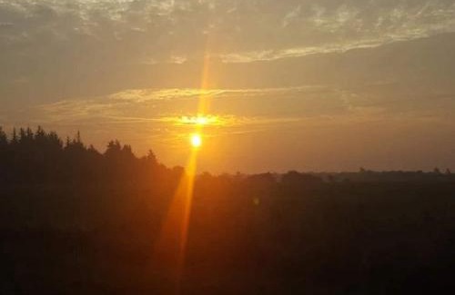 Jegum House | 4 person holiday home in Oksbøl-By Traum