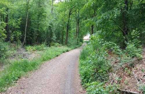 Jegum House | 4 person holiday home in Oksbøl-By Traum