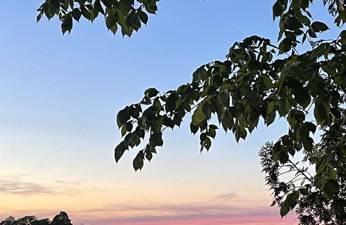 Selwyn Cottage | 4 Season Lakefront Cottage