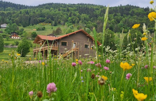 La Bresse Cottage | 4-star cottage in La Bresse, great comfort, near ski resort