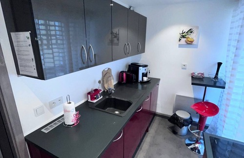 Old Town Apartment | 4 stars a stone's throw from "Little Venice" in Colmar! Let yourself be pampered!