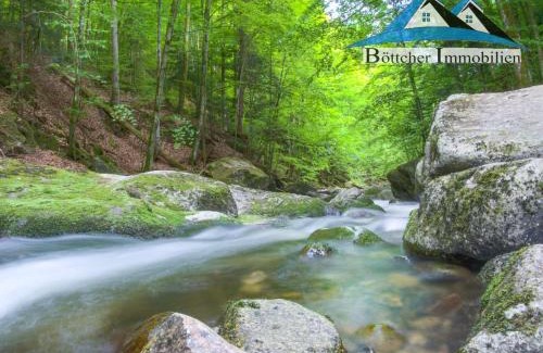 Freyung Villa | 400qm bayerische VILLA 2500qm uneinsehbarer Garten in beliebter Urlaubsregion