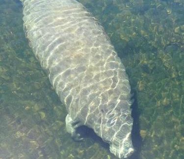 Hudson House | 4BR Private Dock, Warm Spring Canal, Kayaks, Canoe