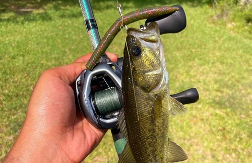 Pearland Villa | 5 acre lake property with fishing