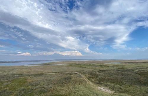 Agger House | 5 person holiday home in Vestervig-By Traum