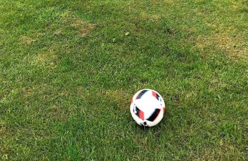 Tørresø House | 5 person holiday home in Otterup