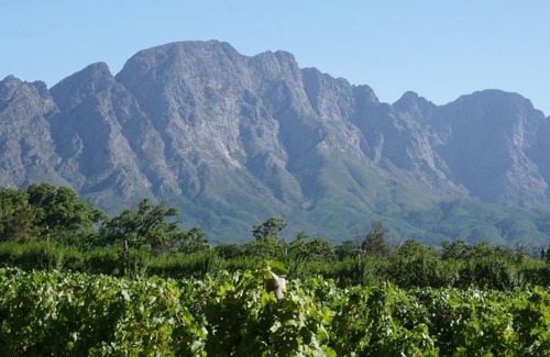 Franschhoek House | 5 Pierre Jourdan
