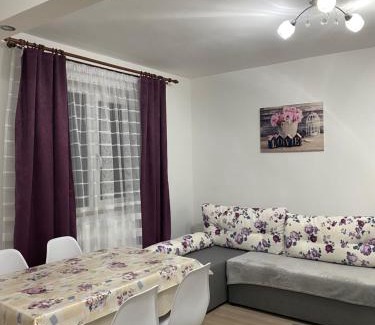 Cavnic Apartment | 5 Residence Apartment