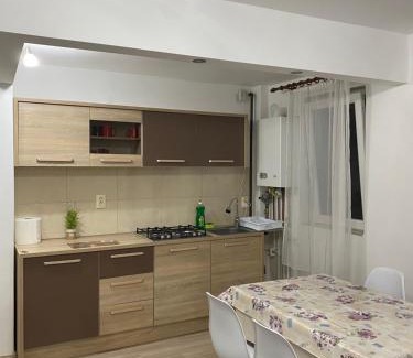 Cavnic Apartment | 5 Residence Apartment