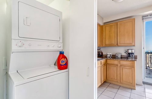 Downtown Chicago Apartment | 55-56 Mag Mile Penthouse